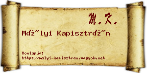 Mályi Kapisztrán névjegykártya